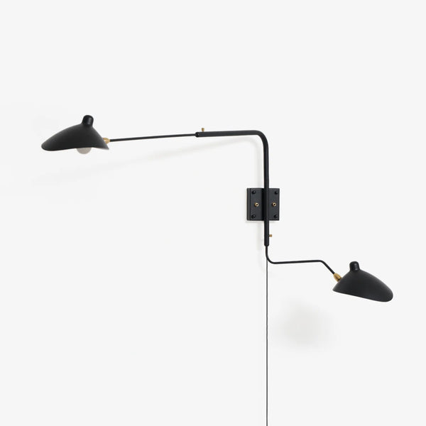 Versatile Arm Wall Sconce