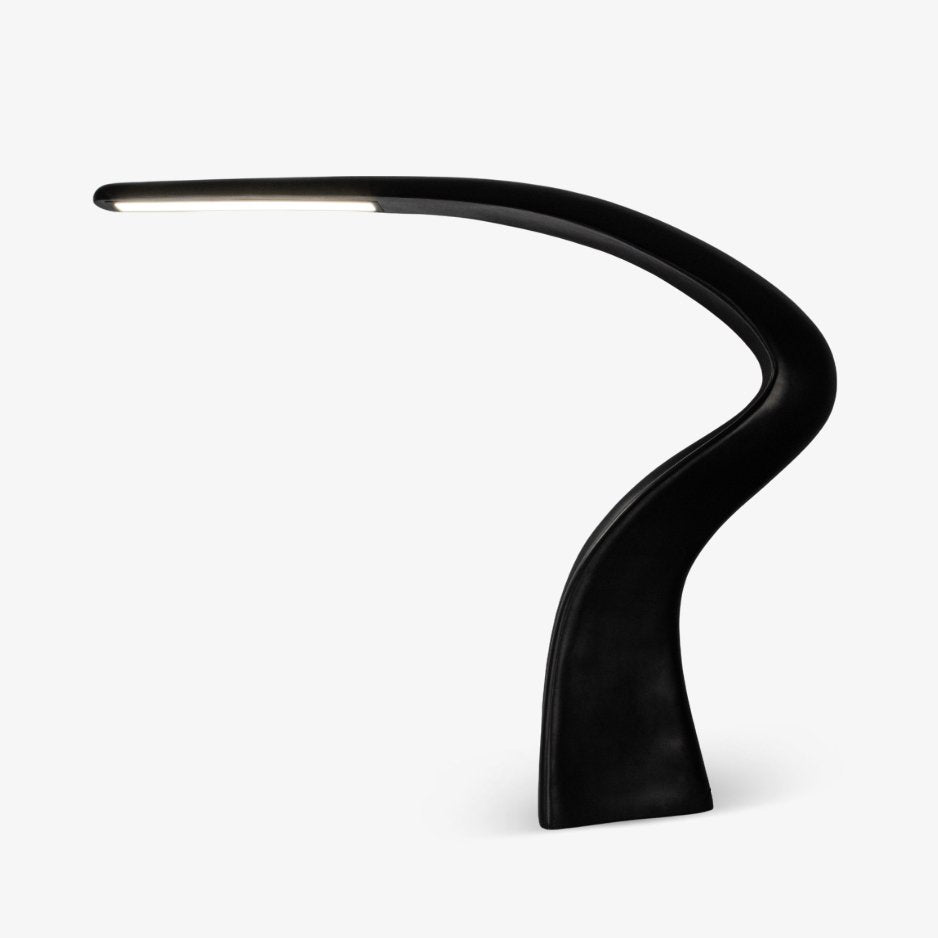 Curve Art Floor Lamp
