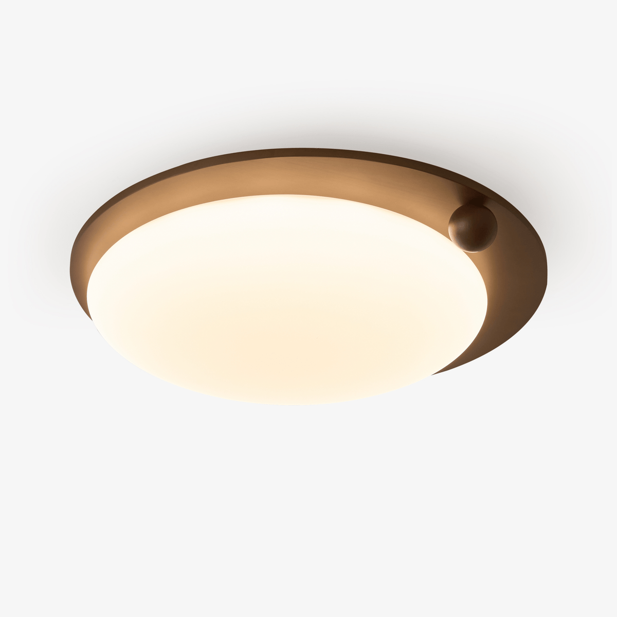 Wood Accent Ceiling Light
