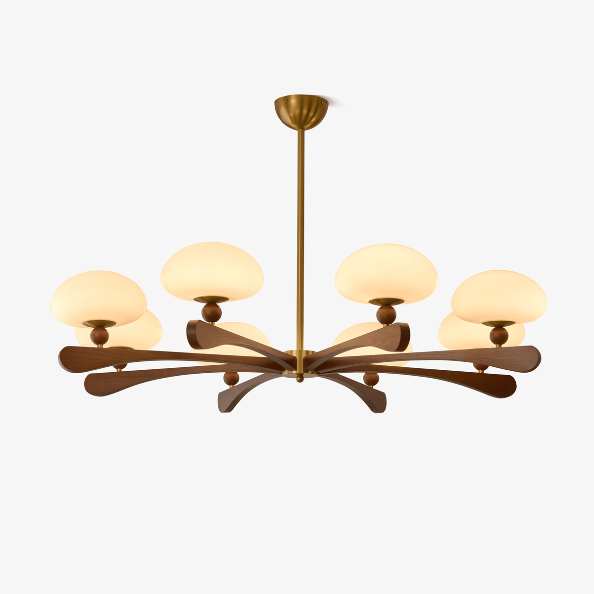 Evander Ray Chandelier