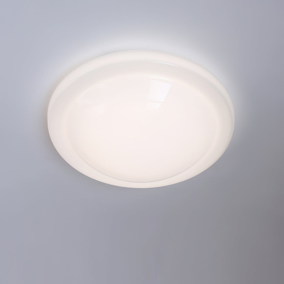 Seloelle Ceiling Light