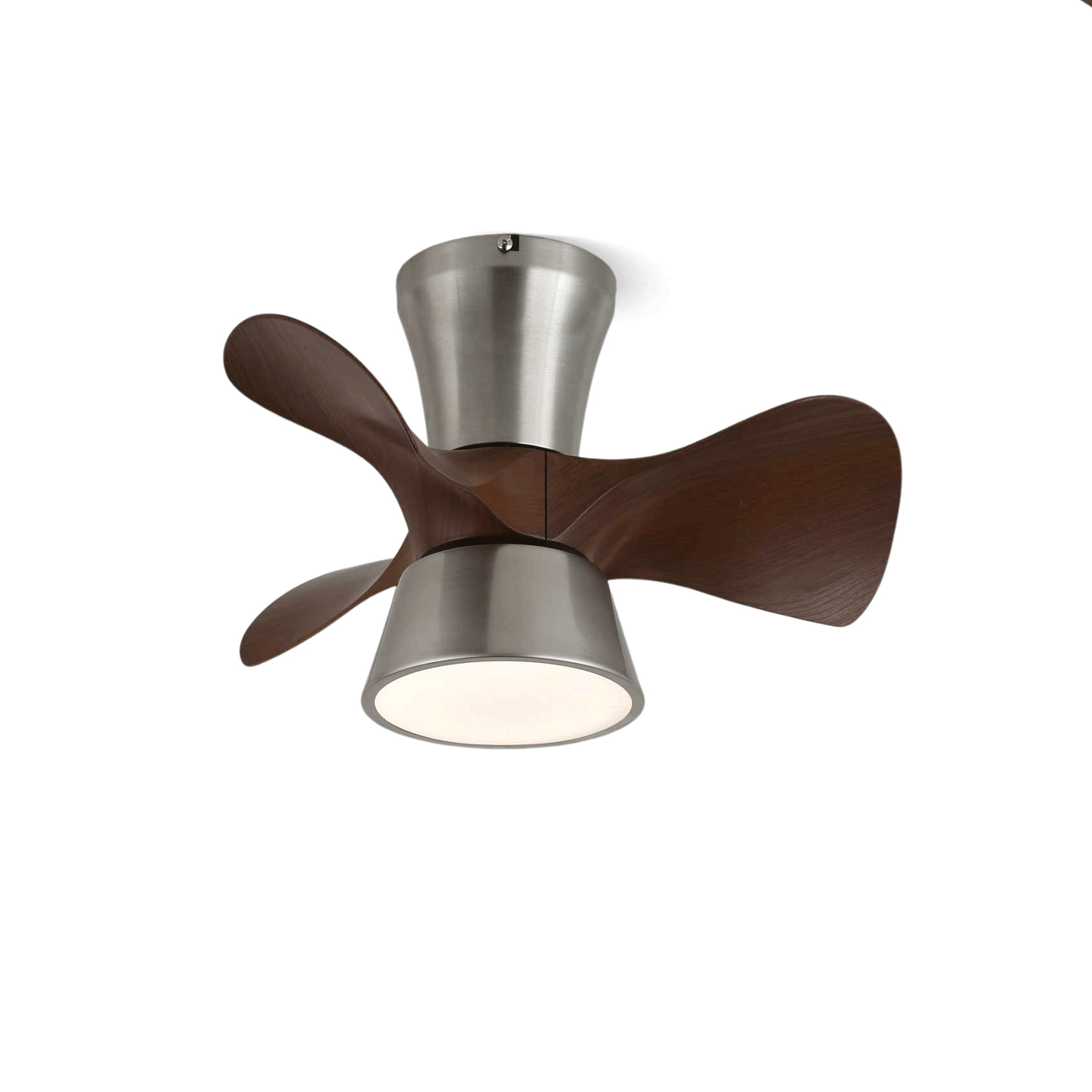 Arvento Ceiling Fan Light