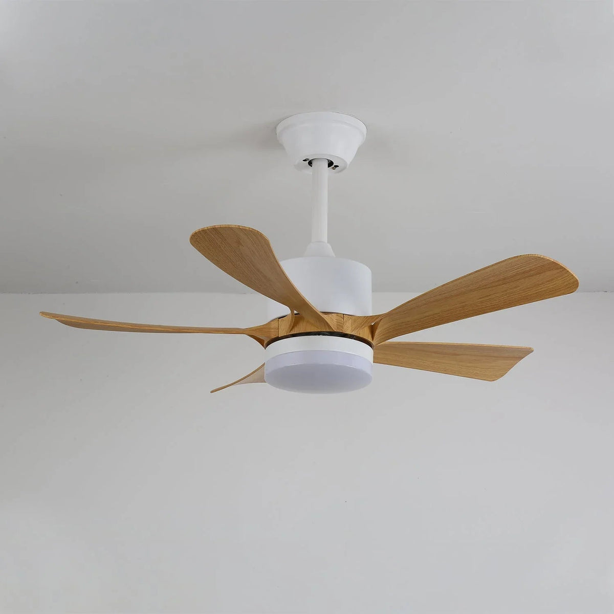 Avenli Ceiling Fan Light