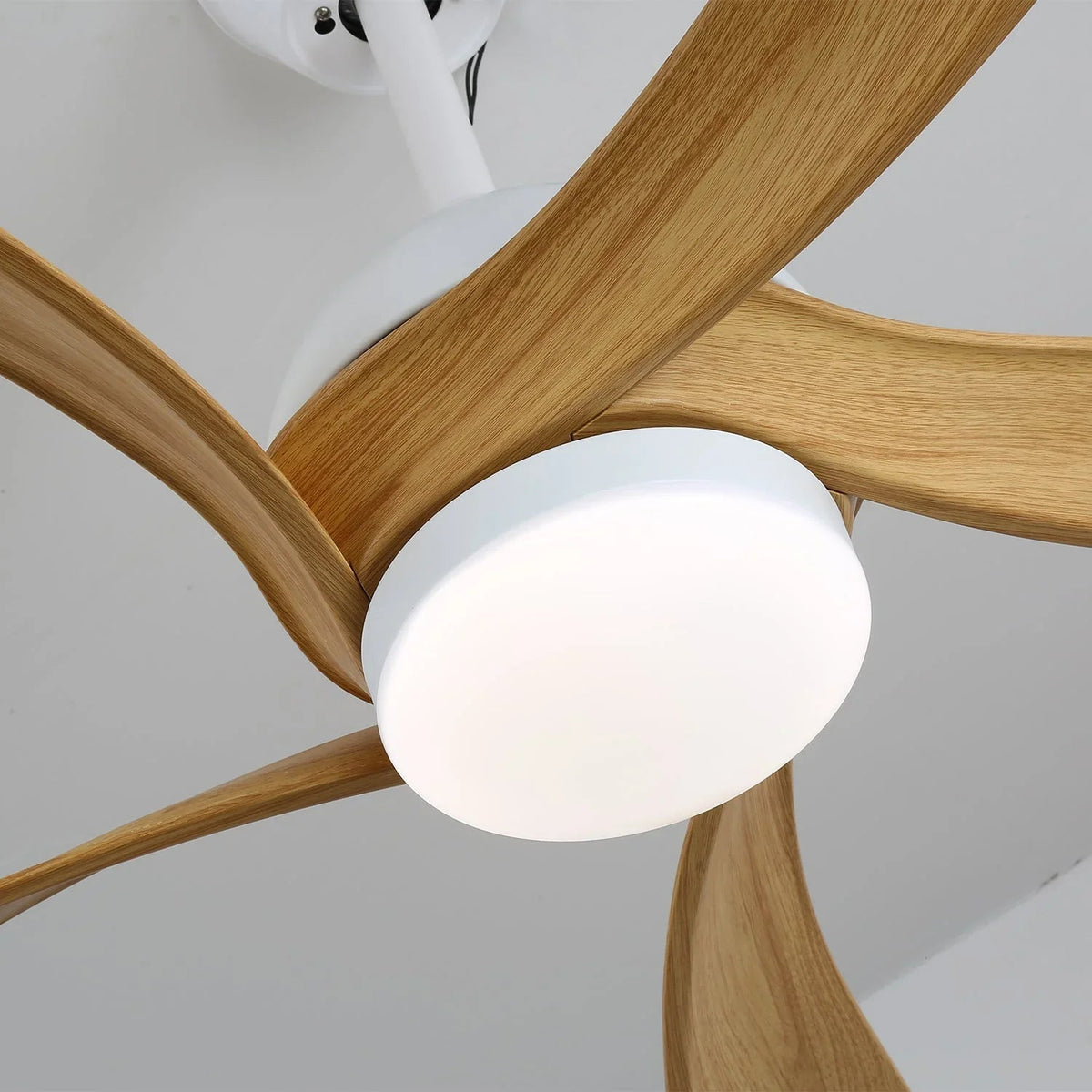 Avenli Ceiling Fan Light
