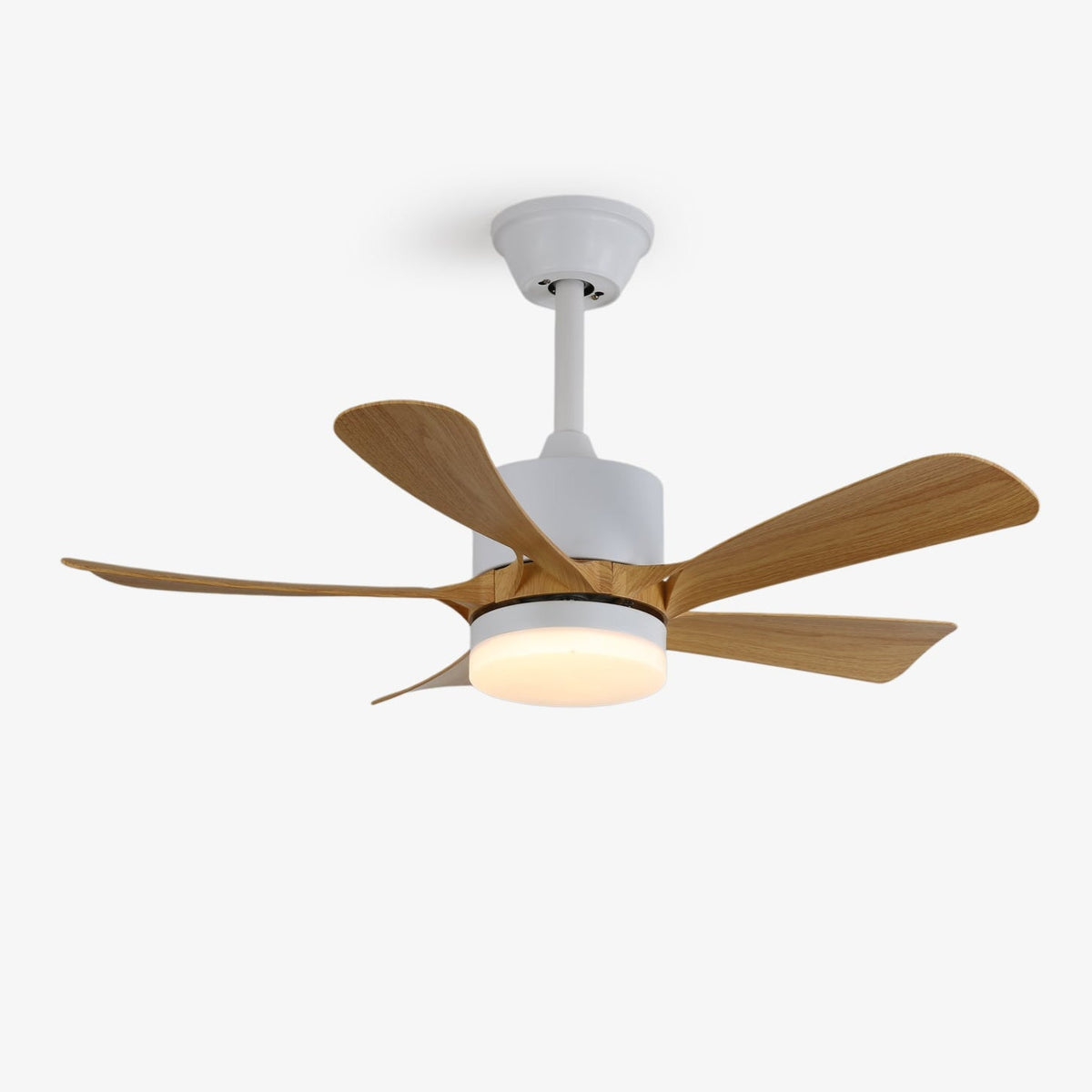 Stylish Aveline Five-Blade Ceiling Fan Light