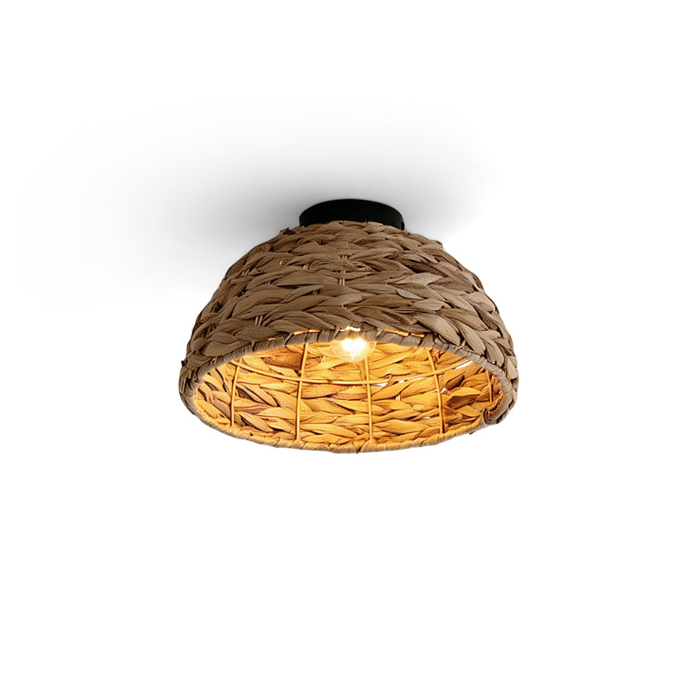 Elauiella Ceiling Light