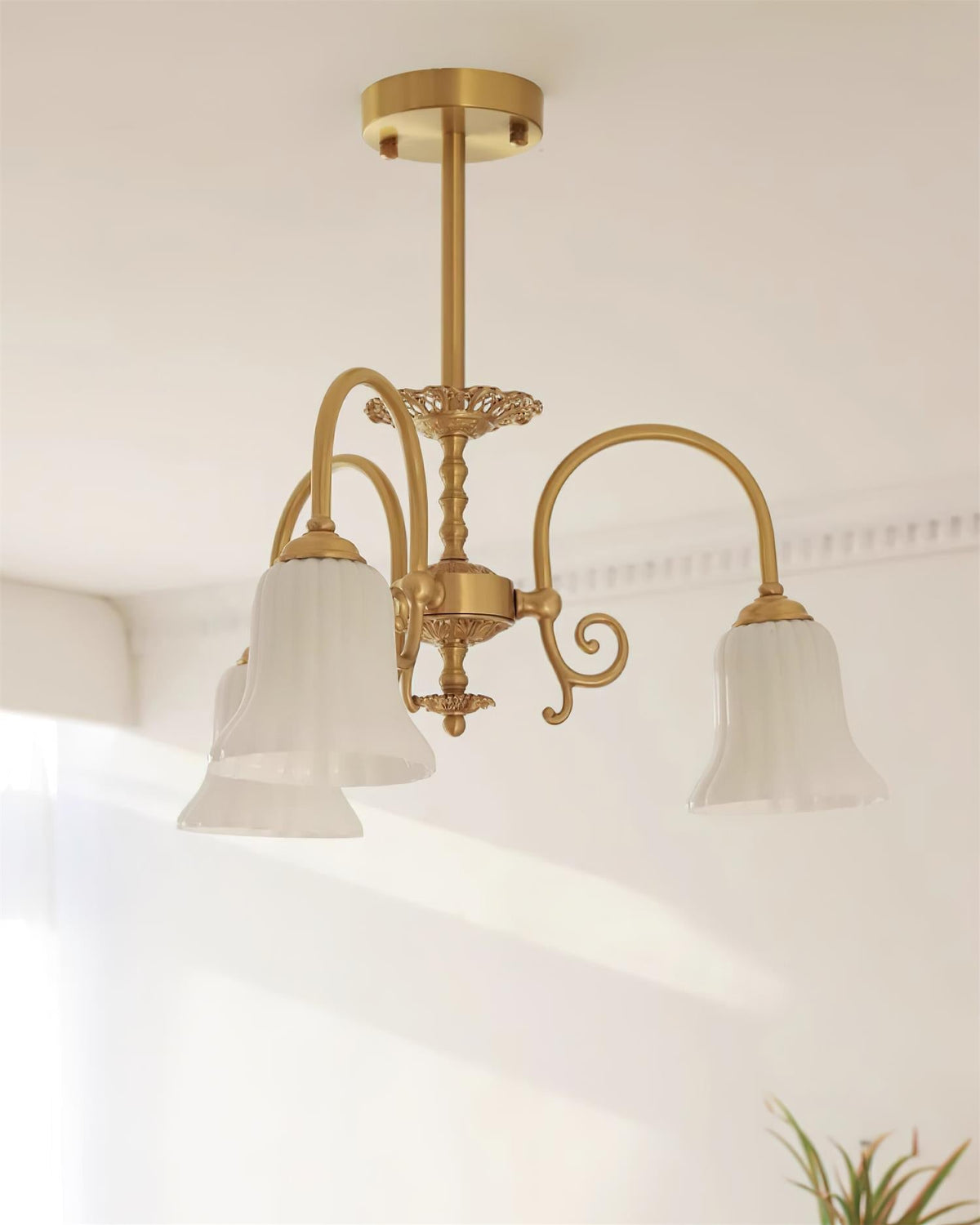 Balenil Chandelier