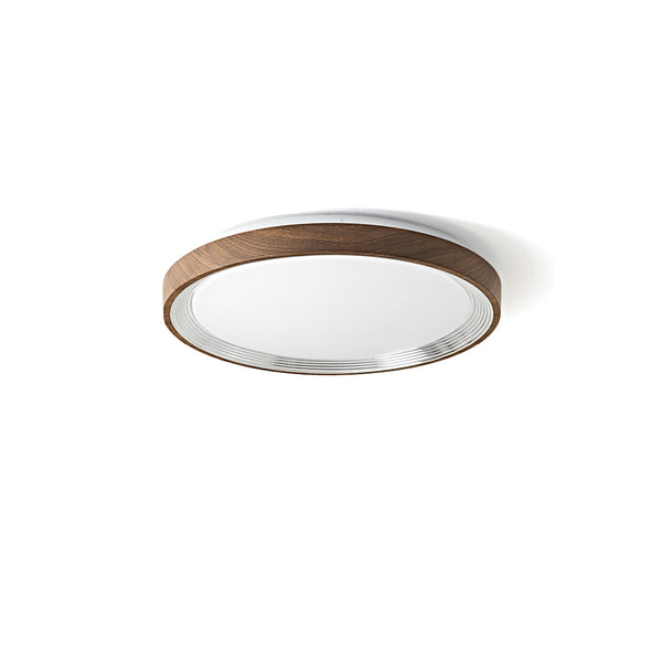 Modern Creative Iron LED Ceiling Lights For Bedroom