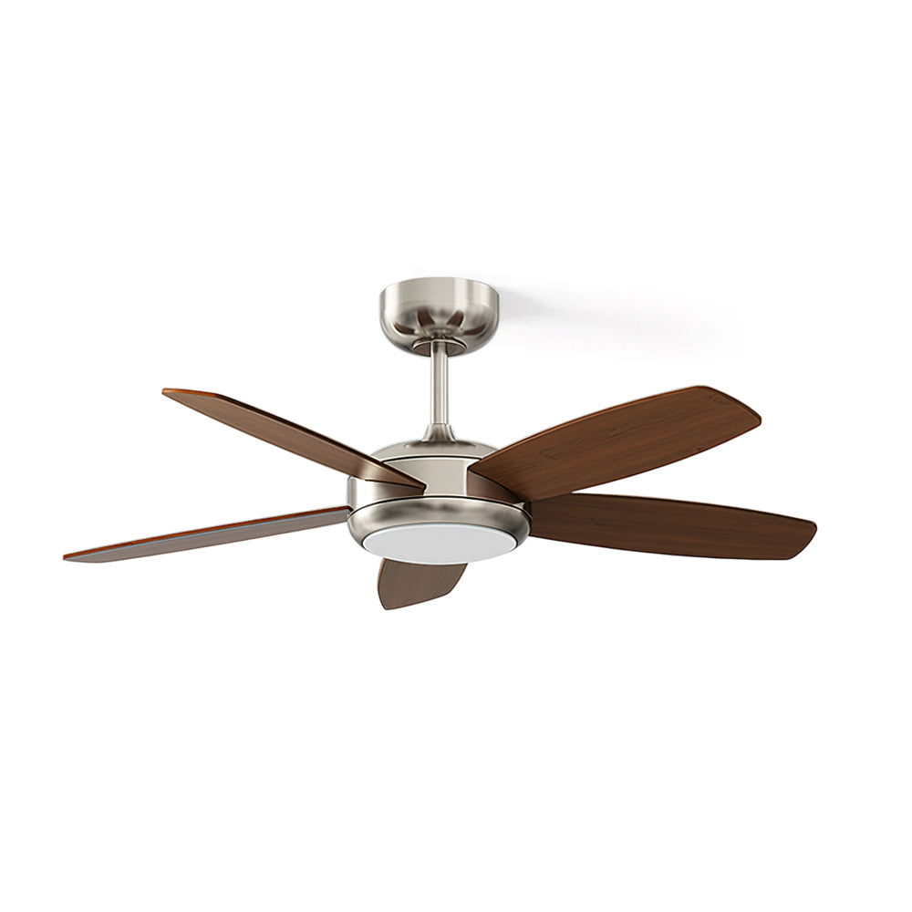 Clive Ceiling Fan Light