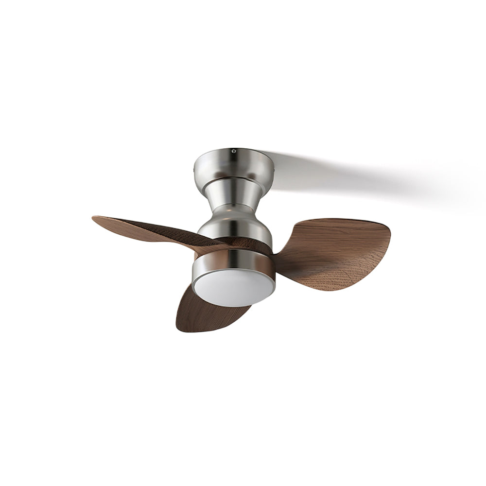 Aerivo Ceiling Fan Light