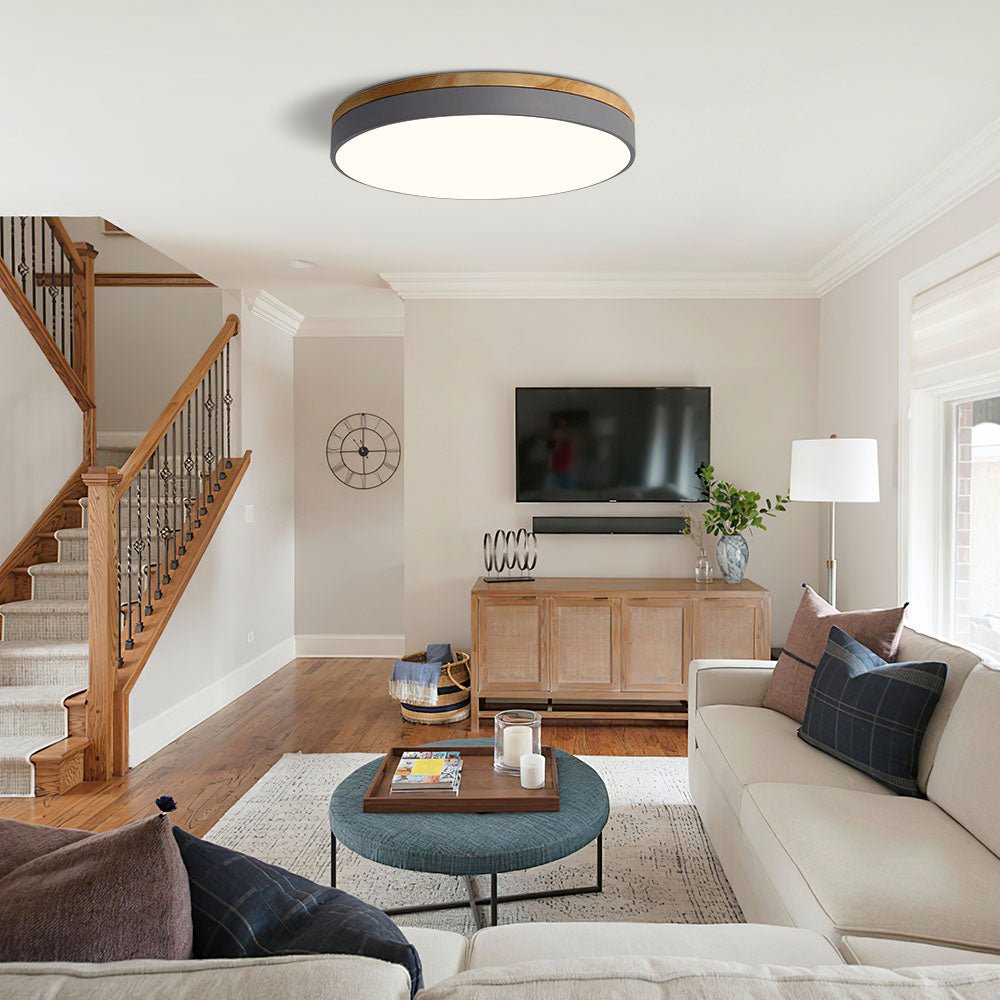 Modern LED Flush Mount Ceiling Light