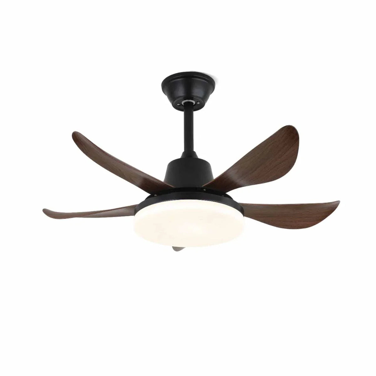 Lucas Ceiling Fan Light