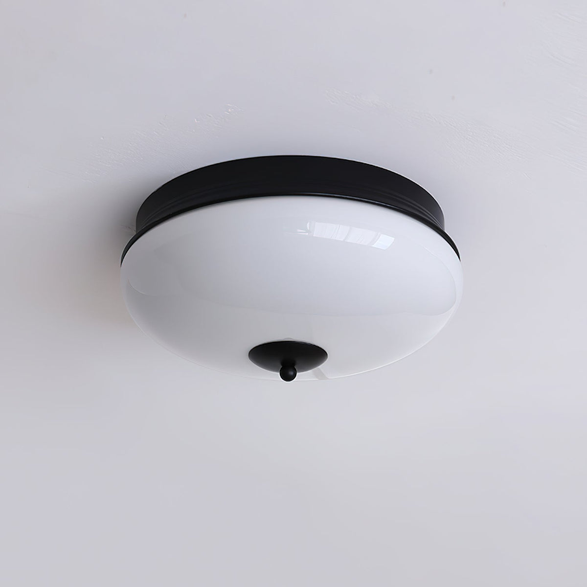 Elairine Ceiling Light