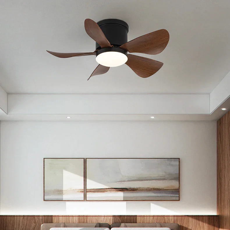 Mini Black Ceiling Fan Light