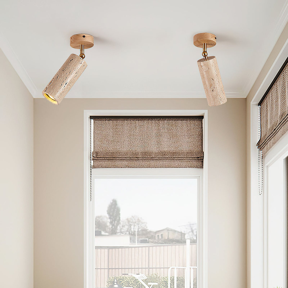 Lumaleon Ceiling Light