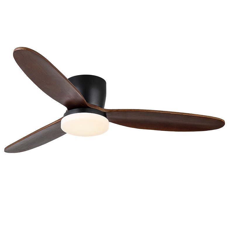 Nocturnus Ceiling Fan Light