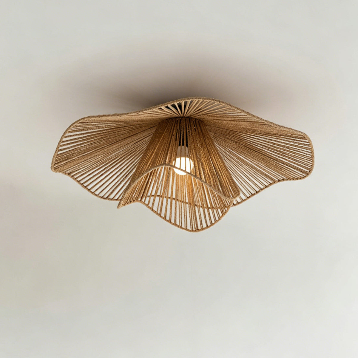 Liorariella Ceiling Light