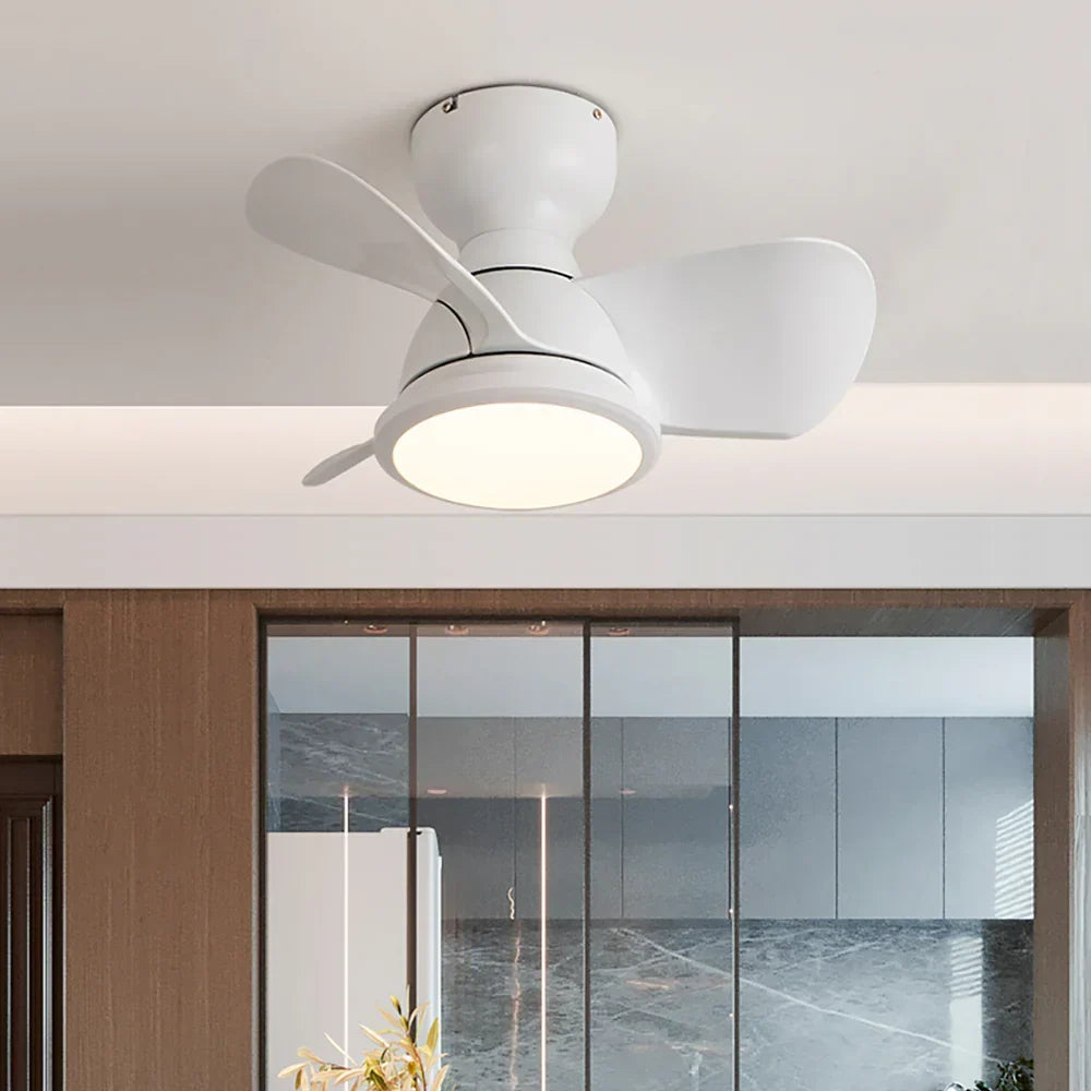 Seyfi Three Leaves Ceiling Fan Light