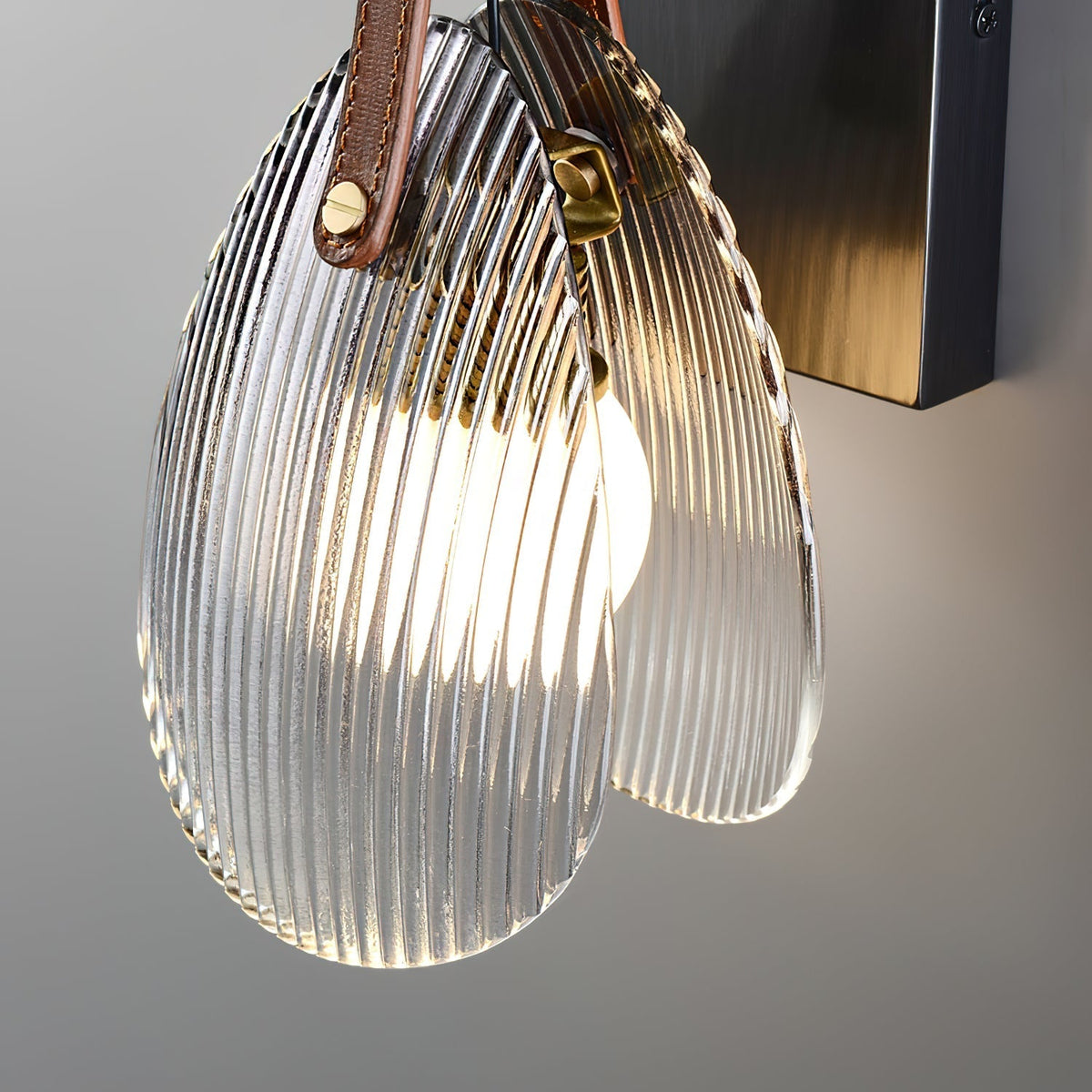 Zaphais Glass Wall Lamp