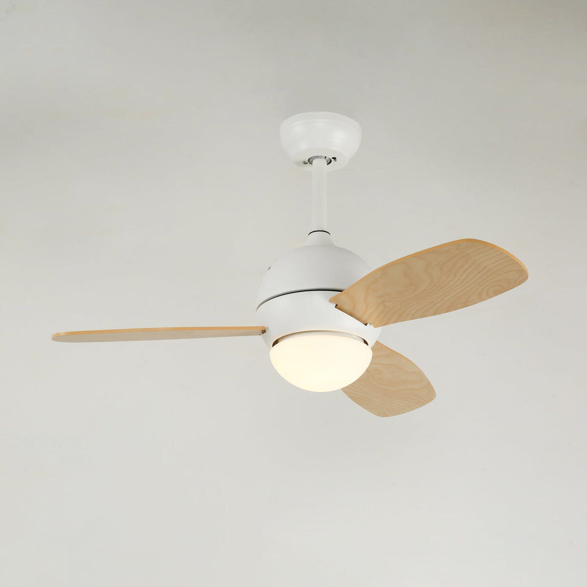 Vento Ceiling Fan Light