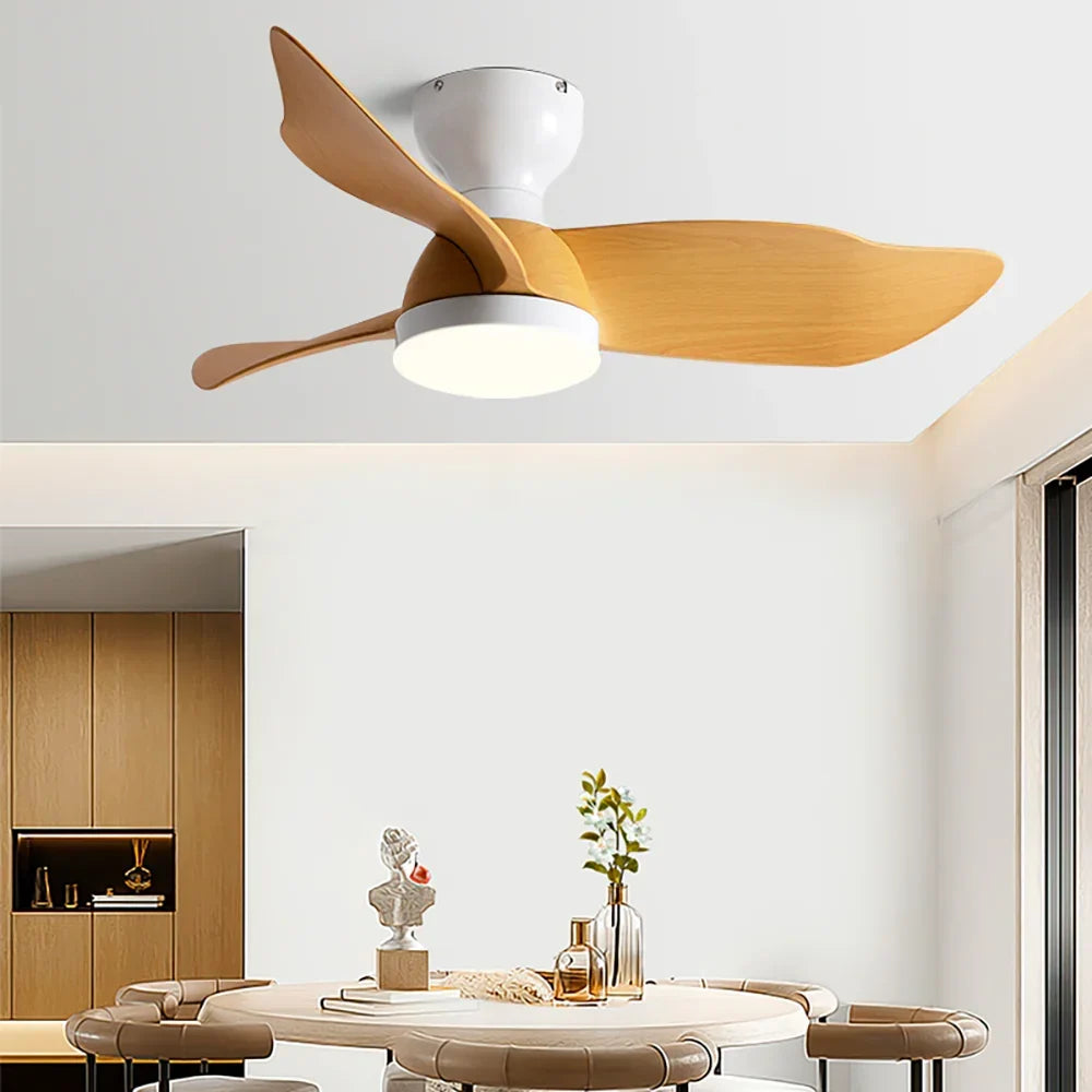 Farmhouse Acrylic Blade Ceiling Fan Light