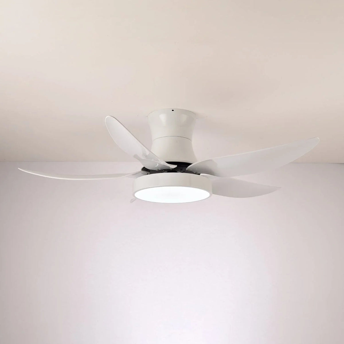 Zephyr Noir Ceiling Fan Light