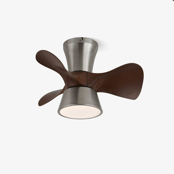 Arvento Ceiling Fan Light