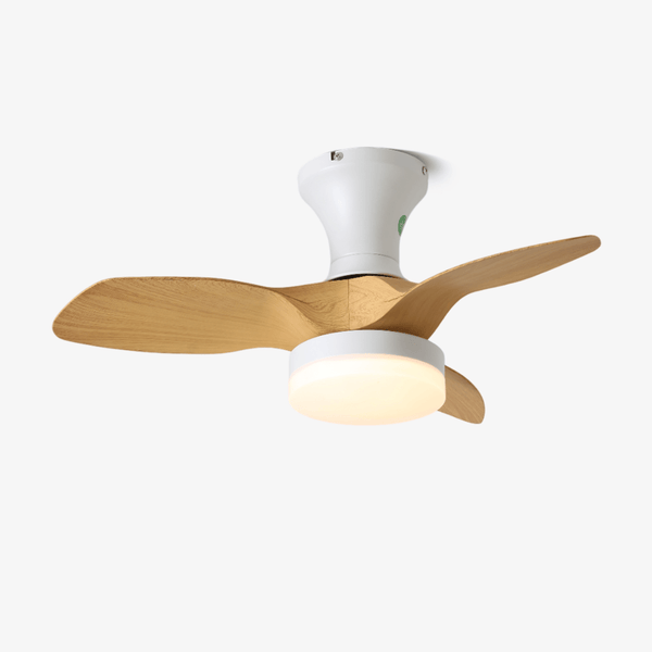 Brisa Ceiling Fan Light