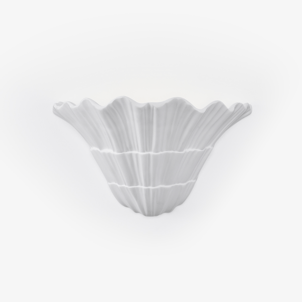 Marina Shell Wall Light