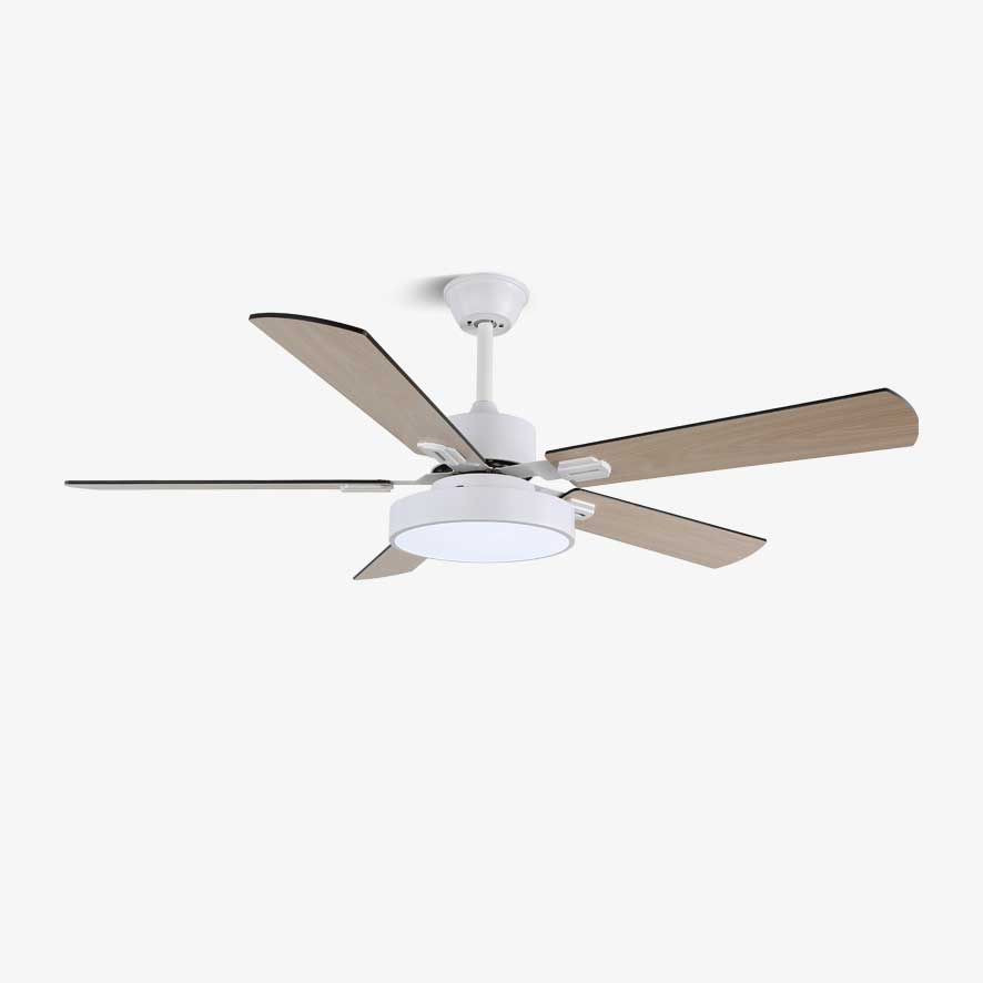 Zephyris Ceiling Fan Light