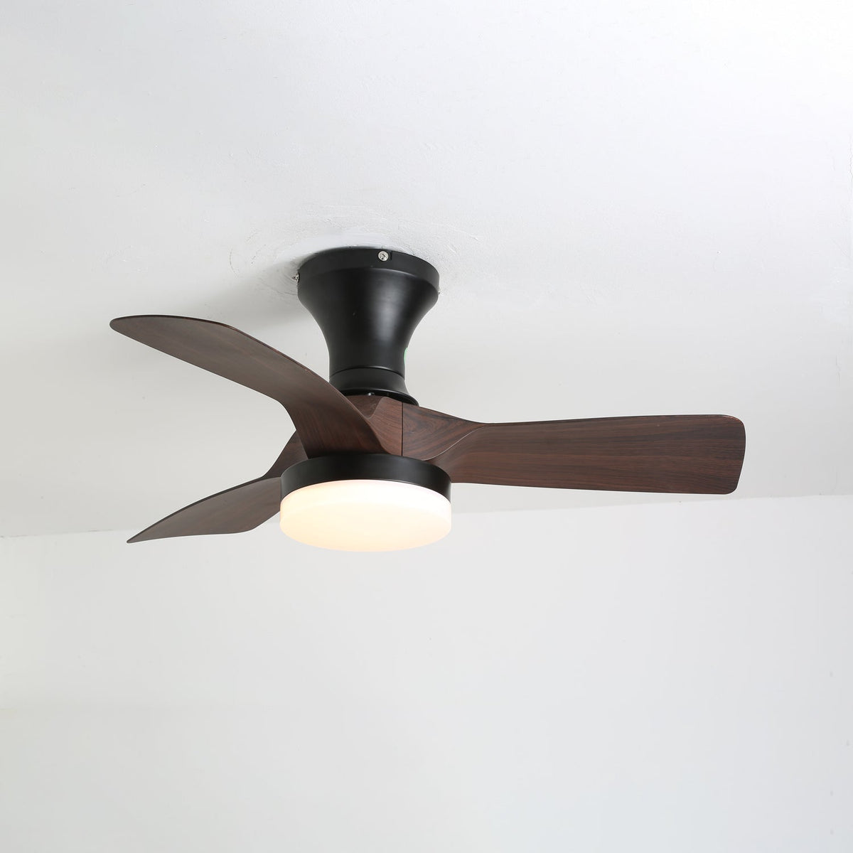 Brisa Ceiling Fan Light