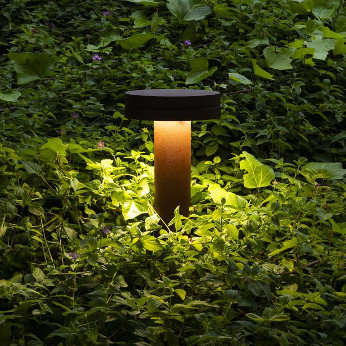 Square Hardwired Pathway Light