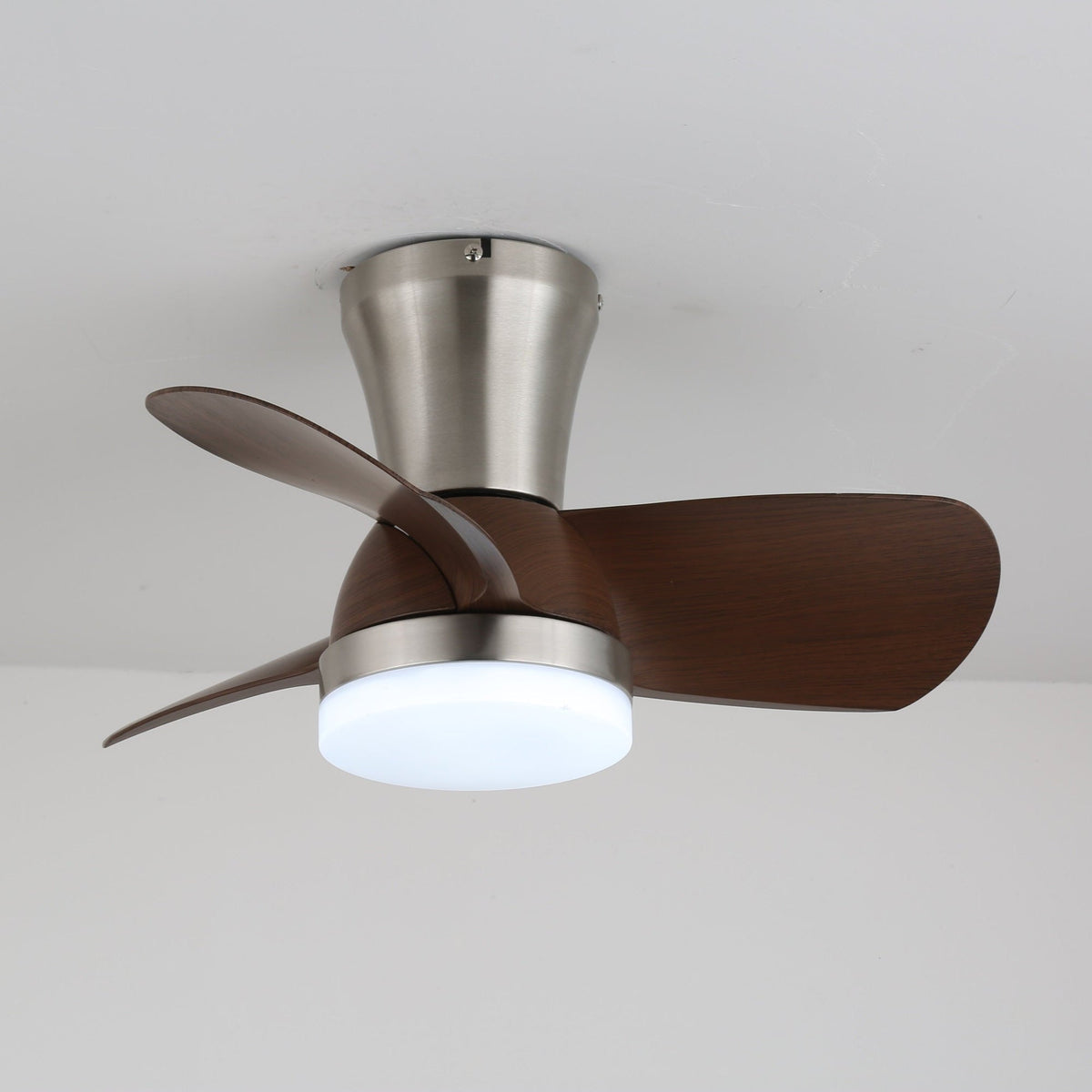 Aero Echo Ceiling Fan Light