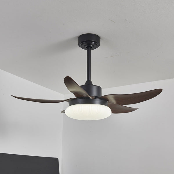 Aero Palm Ceiling Fan Light