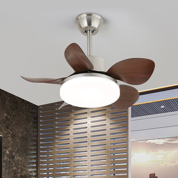 Aeroglow LED Ceiling Fan Light