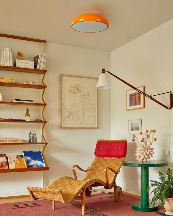 Lioroise Ceiling Light