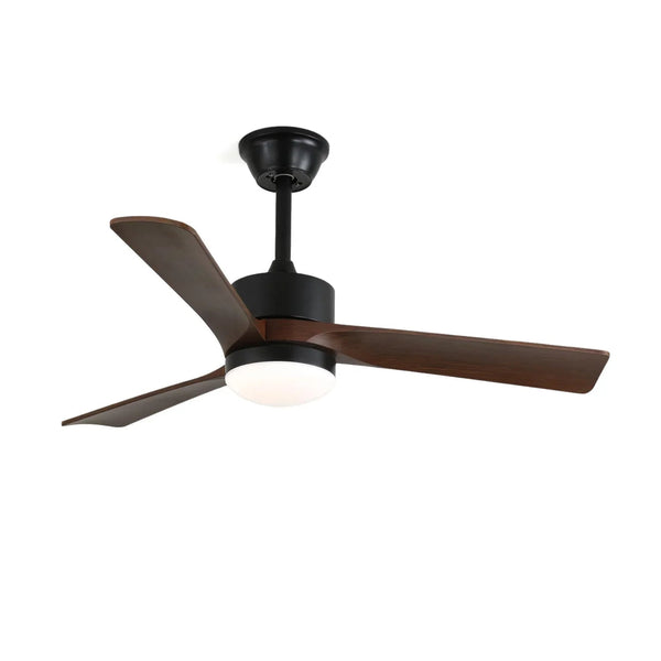 Averso Ceiling Fan Light