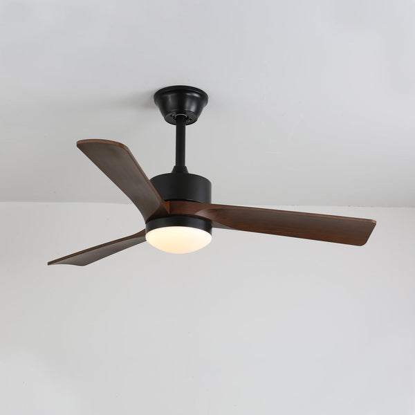 Averso Ceiling Fan Light