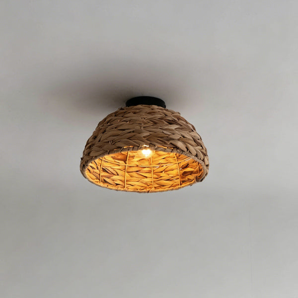 Elauiella Ceiling Light