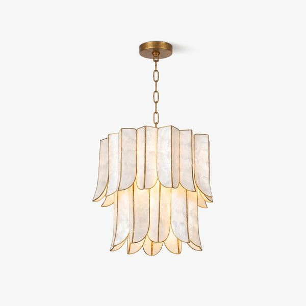 Cascara Shell Chandelier