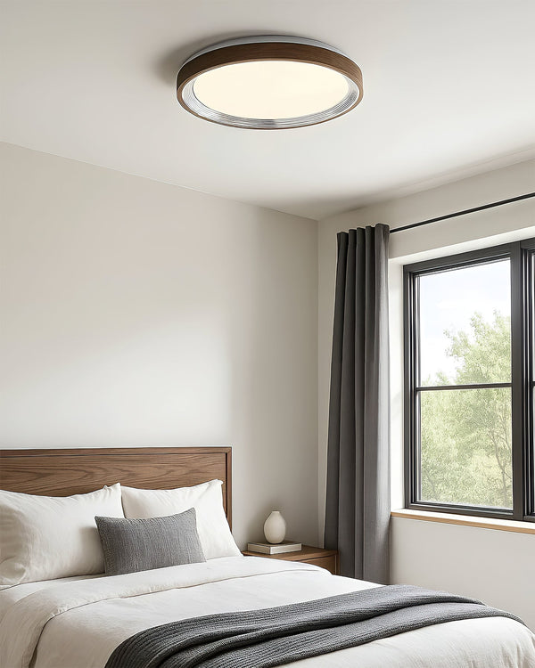 Modern Creative Iron LED Ceiling Lights For Bedroom