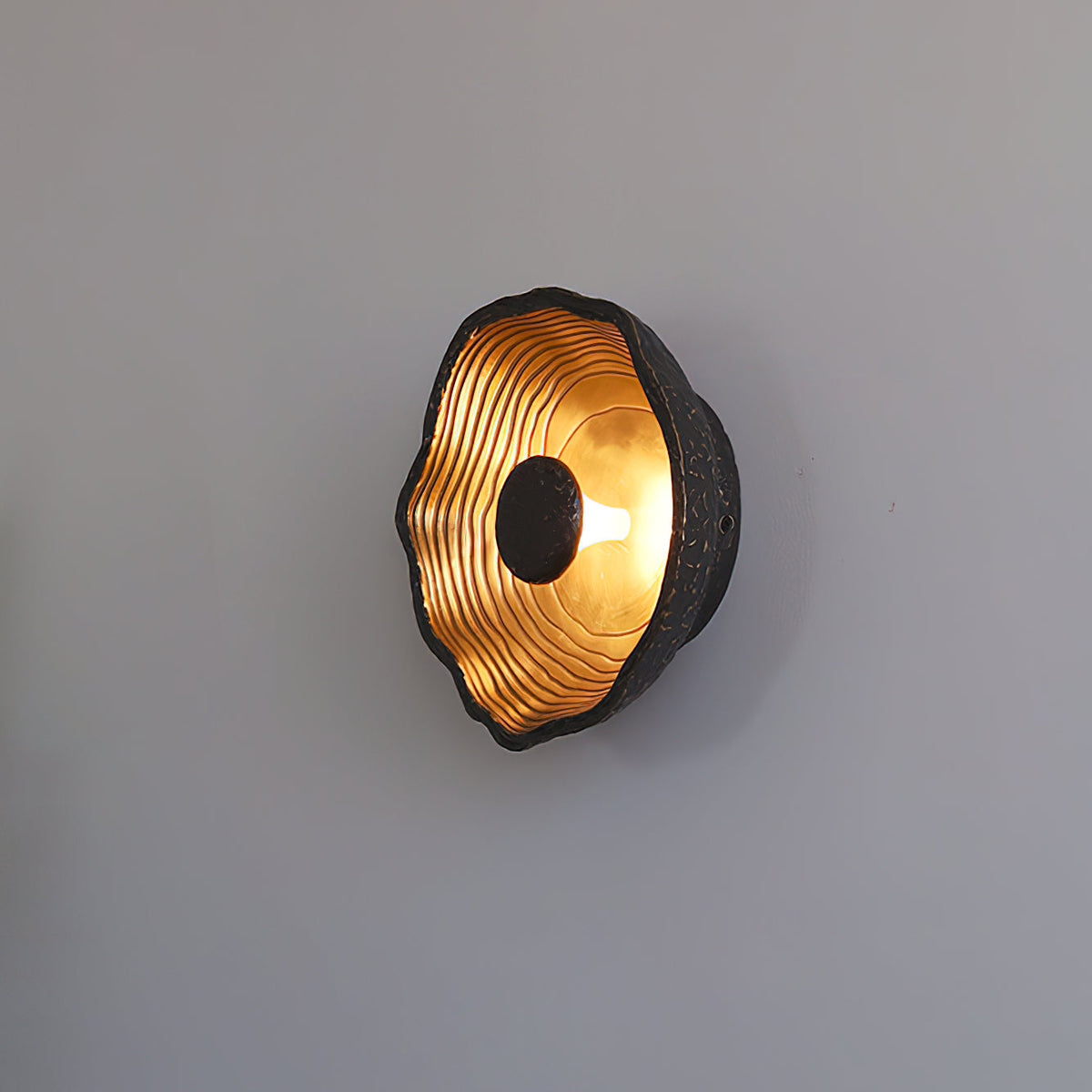 Selivelia Wall Light