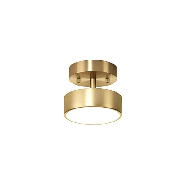 Hero Rotating Ceiling Lamp