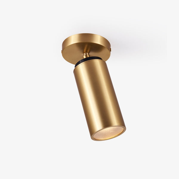 Horizon Brass Spot Light