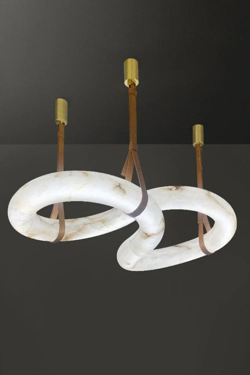 Loop Hanging Light