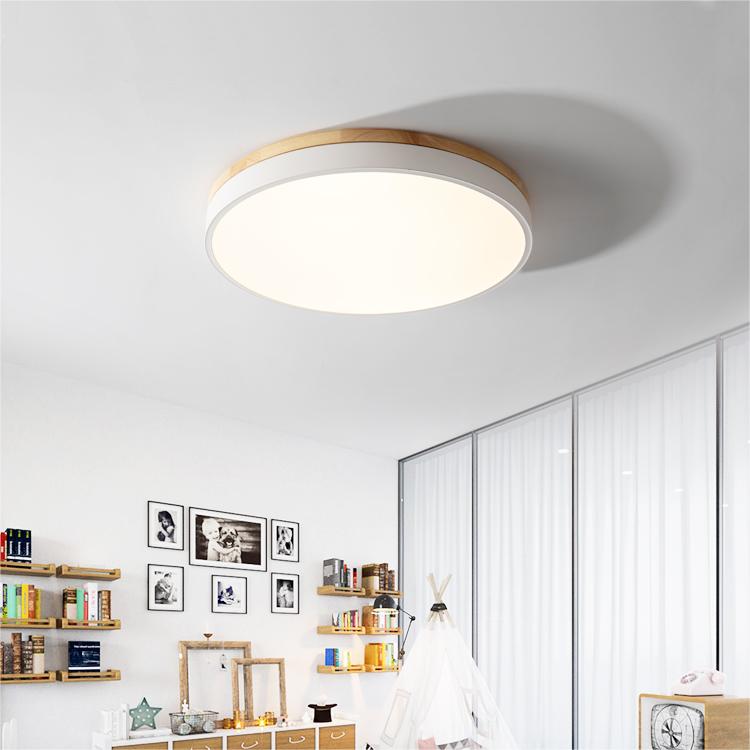 Modern Minimalist Round Flush LED Ceiling Lights