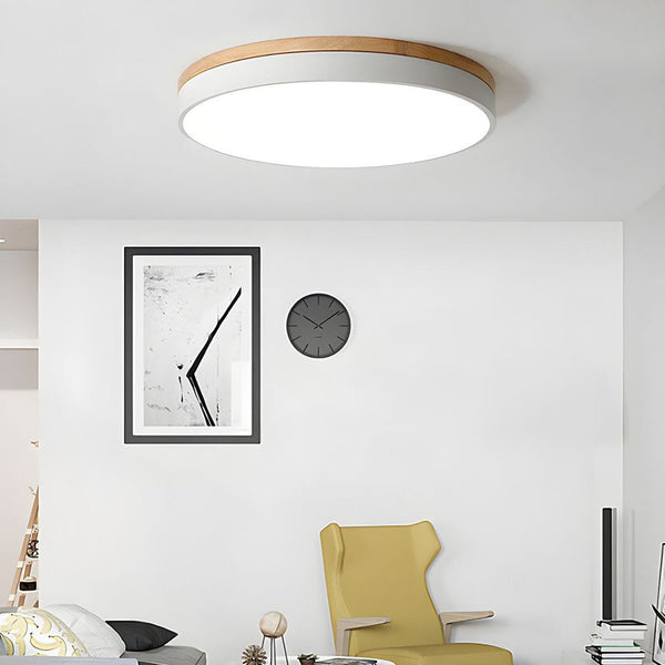 Modern LED Flush Mount Ceiling Light