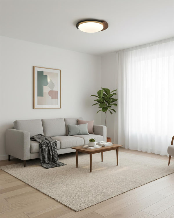 Virainel Flush Mount Ceiling Light