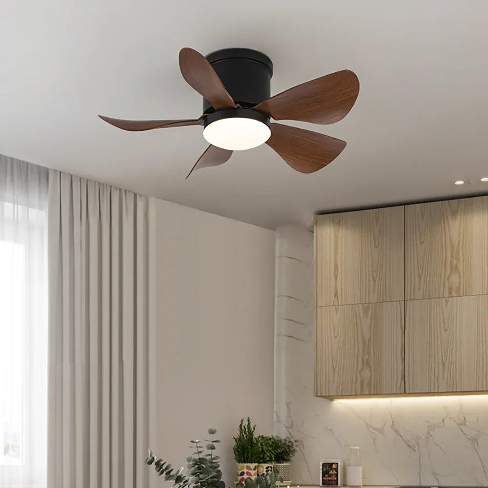 Mini Black Ceiling Fan Light