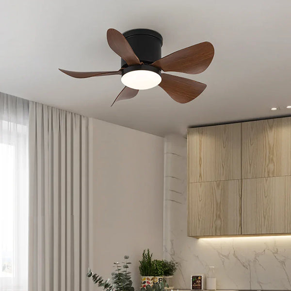 Mini Black Ceiling Fan Light